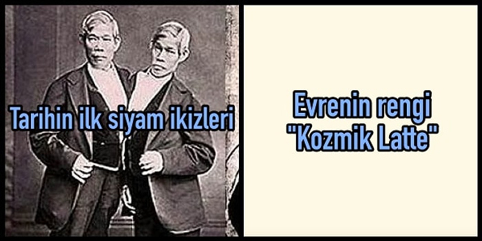 Genel Kültürüne Yatırım Yapmak İsteyenlerin Zevkle Okuyacağı 16 Az Bilinen Gerçek