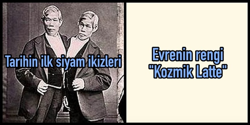 Genel Kültürüne Yatırım Yapmak İsteyenlerin Zevkle Okuyacağı 16 Az Bilinen Gerçek