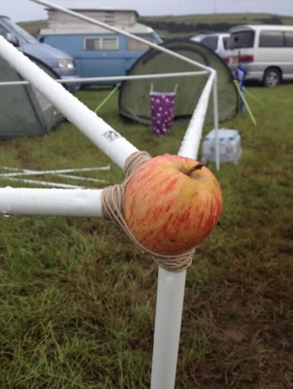 7. Интересно, что будет, когда яблоко сгниет?