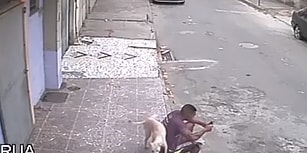 Yol Kenarında Oturan Adama Köpekten Kötü Sürpriz