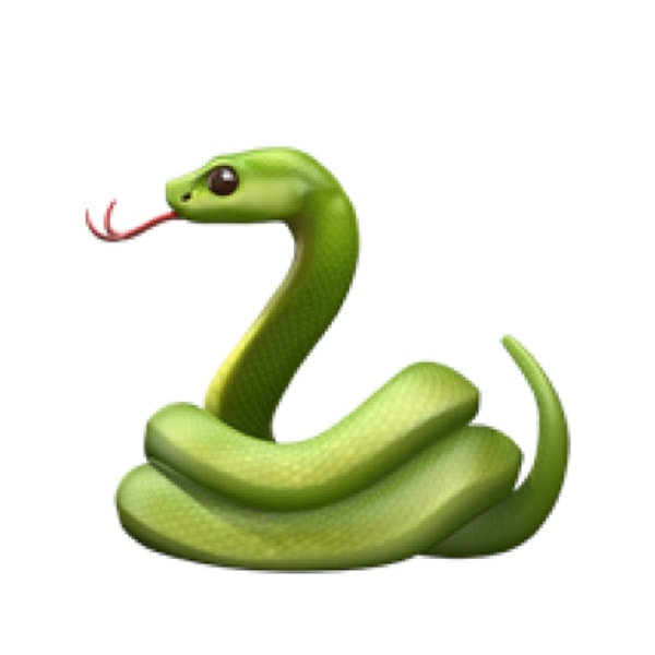 Так вот вы кто!  🐍