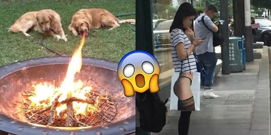 Bir An Afallayıp Göz Yanılması mı Gerçek mi Anlayamayacağınız 21 Komik Fotoğraf