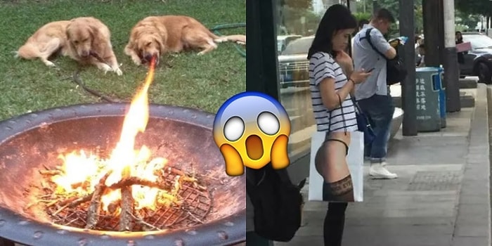 Bir An Afallayıp Göz Yanılması mı Gerçek mi Anlayamayacağınız 21 Komik Fotoğraf