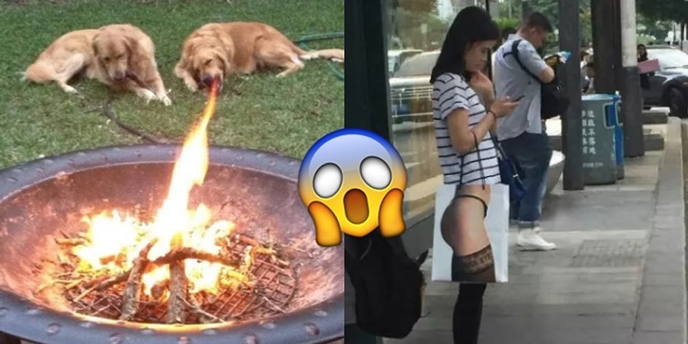 Bir An Afallayıp Göz Yanılması mı Gerçek mi Anlayamayacağınız 21 Komik Fotoğraf