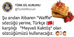 Waffle'a Meyveli Kaktöş İsmini Koyan TDK'nın Parodi Hesabına Veryansın Eden 15 Kişi