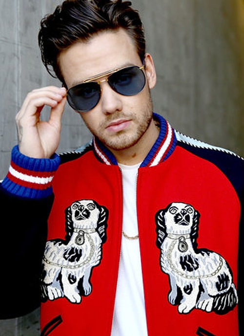 Camilla Cabello'nun eski grubu ve One Direction'ın eski üyelerinden Liam Payne aynı hiti kullanarak pişti oldu.