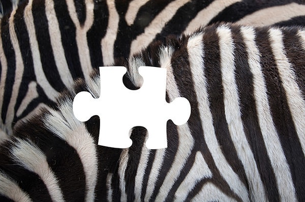 4. Чего не хватает?