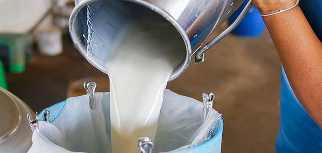 15. Taze süt (1 fincan: 260 miligram potasyum)
