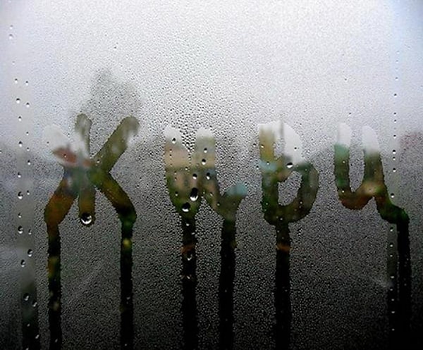 5. Без чего вы не смогли бы выжить?