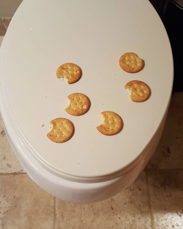 3. Малыш, что ест крекеры с туалетной крышки, причем надкусывает их по одному