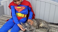 Evsiz Kedilere Yardım Etmek İçin Süper Kahraman Gibi Giyinen Kocaman Yürekli Çocukla Tanışın!