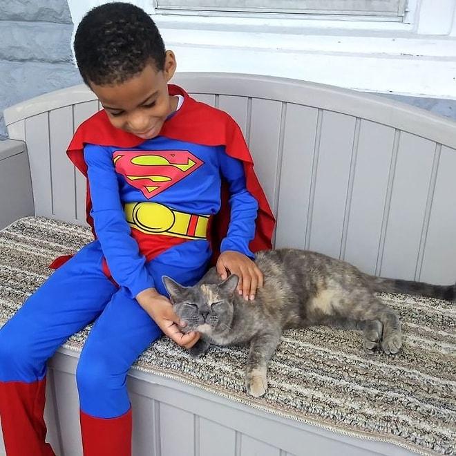 Evsiz Kedilere Yardım Etmek İçin Süper Kahraman Gibi Giyinen Kocaman Yürekli Çocukla Tanışın!