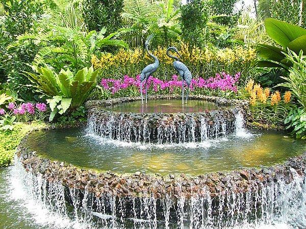 2. Singapore Botanical Gardens, Singapur