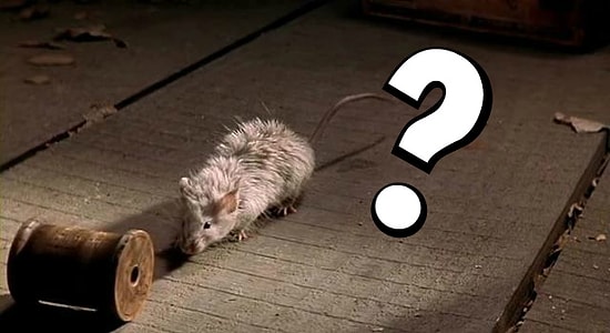 Только внимательный кинолюб угадает на 10/10 все фильмы по кадрам, в которых нет ни одного актера!