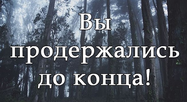 Вы дошли до самого конца!