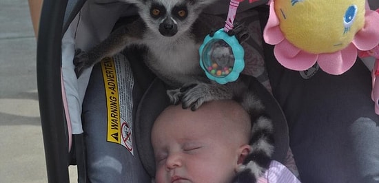 Чуть-чуть недоглядели: 15 фото с самыми смешными провалами родителей