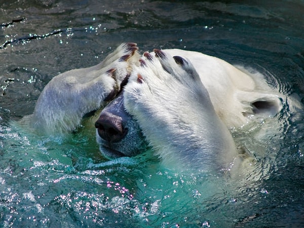 Окружающие думают, что вы очень скромный человек