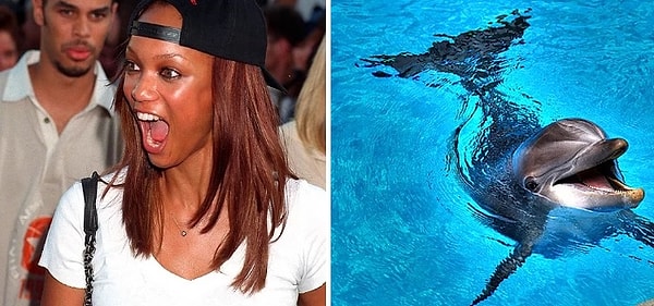 6. Тайра Бэнкс боится дельфинов