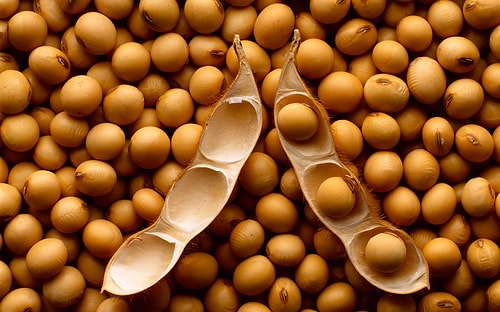 Yapılan anlaşma çerçevesinde ayrıca 25 bin ton ham, 10 bin ton rafine ayçiçek yağı, 5 bin ton soya ithal edilecek.