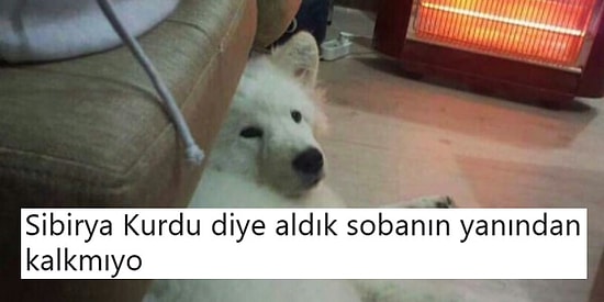 Ne Yapıyorsanız Bırakıp Okumanız Gereken Haftanın En Komik 20 Tweet'i