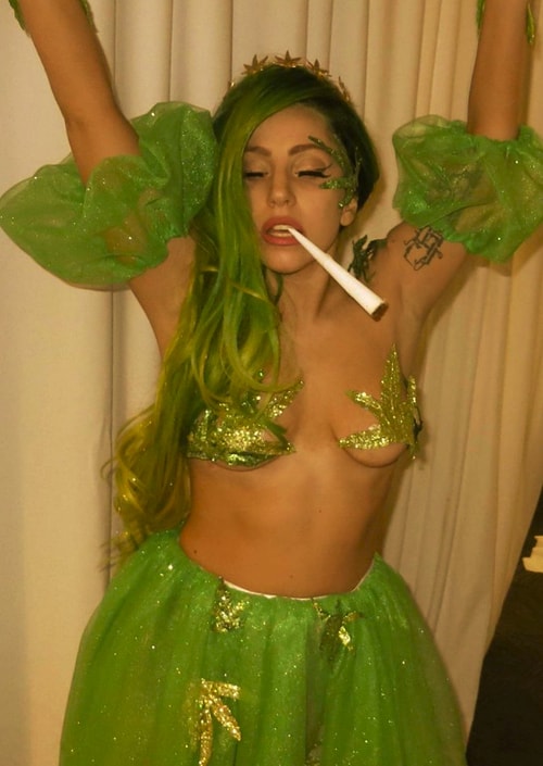 Cadılar Bayramı da bu hafta kutlandı ve gözlerimize şenlik oldu adeta! Lady Gaga şüphesiz en çok eğlenenlerden biriydi.