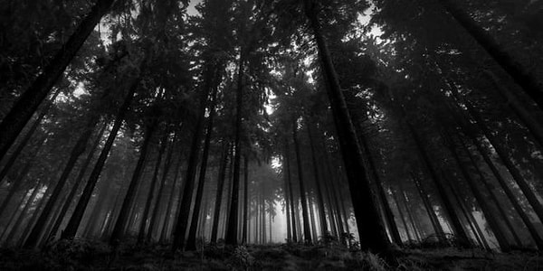 Вы умерли от жажды!