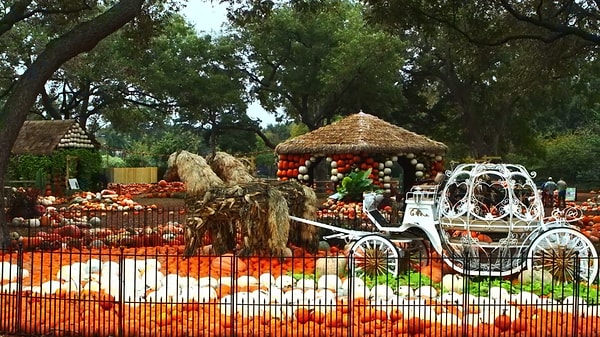 Это самое что ни на есть тыквенное село! В дендрарии представлены дома и экспозиции из более чем 90 000 тыкв, патиссонов и сквошей, которые создают по-настоящему единственное в своем роде место.