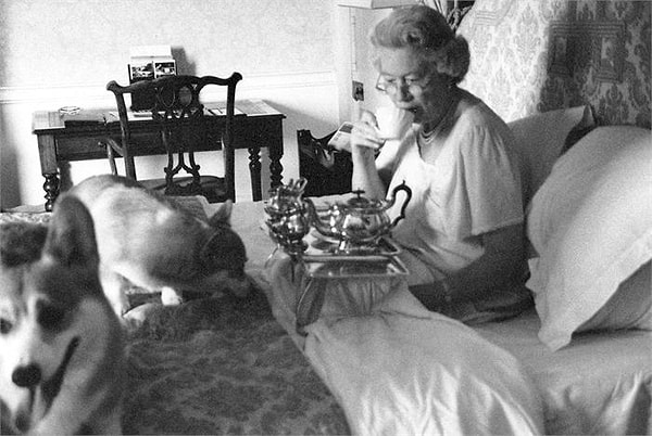 9. Ее Величество утром ест готовые завтраки