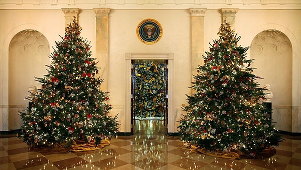 8. Каждый год для официальной рождественской елки Белого дома 🌲 семьей президента выбирается определенная тематика