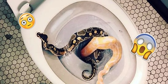 Если вы боитесь хотя бы 10 из этих 17 вещей, то, поздравляем: вы настоящий человек!