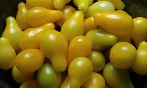 14. И последний вопрос: что это могло бы быть?