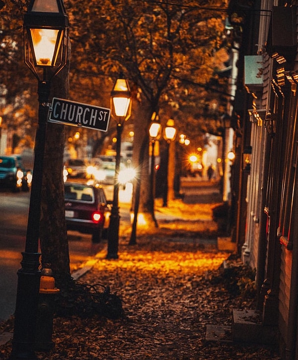 2. Хруст каких листьев приятнее всего?