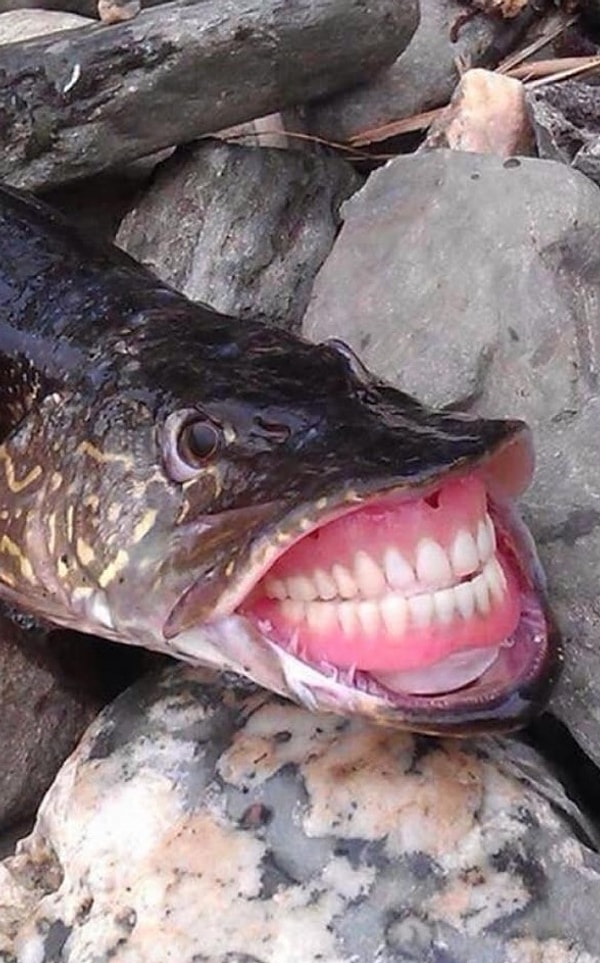 10. "Вот так я сходил с дедушкой на рыбалку"