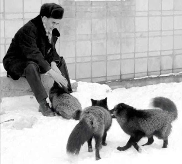 3. Советский ученый рисковал жизнью ради этого исследования.