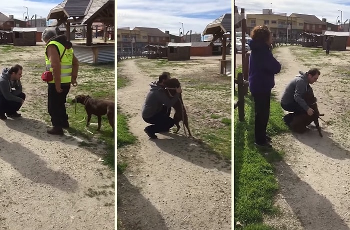 3 Koca Yılın Ardından İnsan Dostuyla Bir Araya Gelen Köpeğin Kalpleri Eriten Karşılaşma Anı