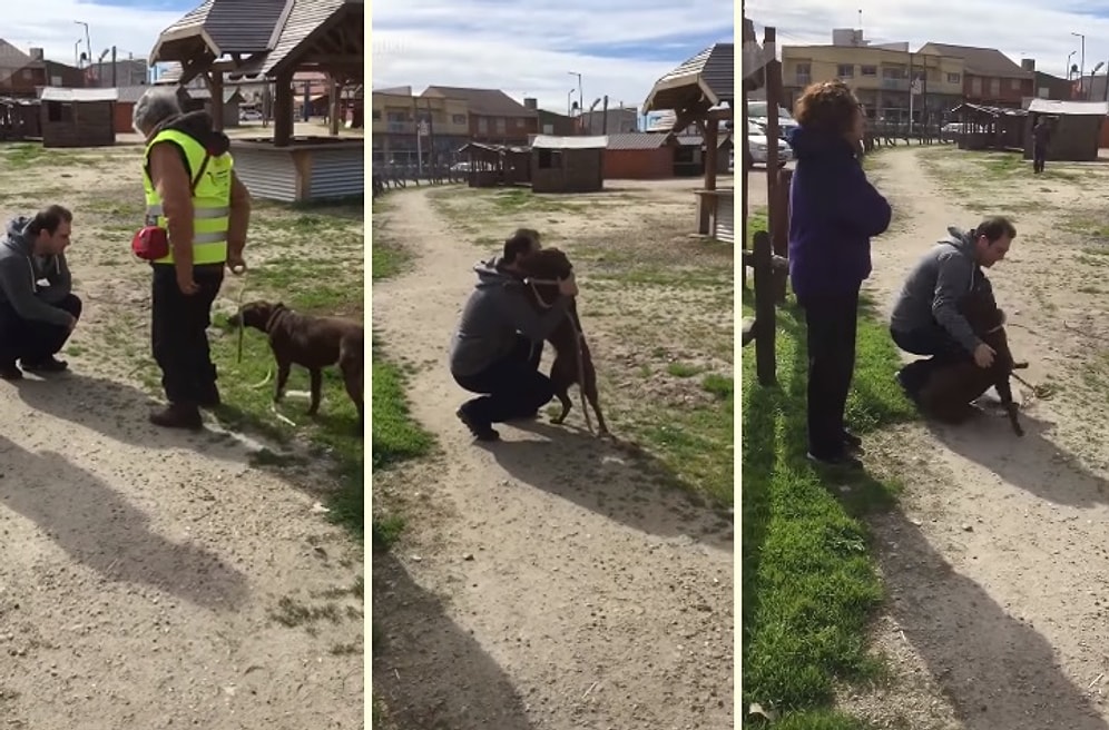3 Koca Yılın Ardından İnsan Dostuyla Bir Araya Gelen Köpeğin Kalpleri Eriten Karşılaşma Anı