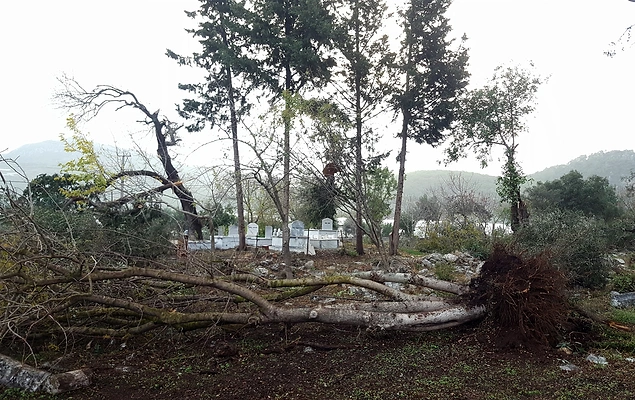 Hortum Antalya'yı Yıktı Geçti: 38 Kişi Yaralandı, 2 Bin Dönüm Sera Zarar Gördü