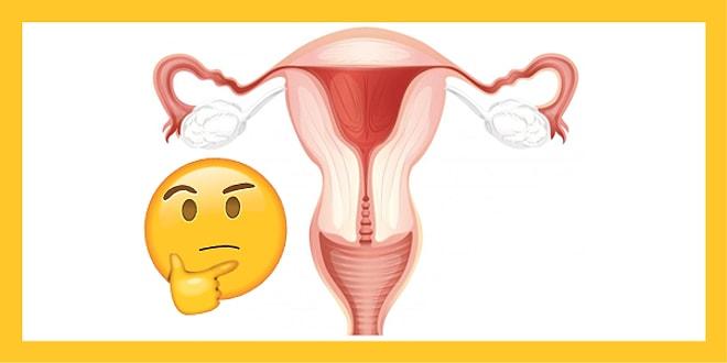 Kadın Anatomisini Ne Kadar İyi Biliyorsun?