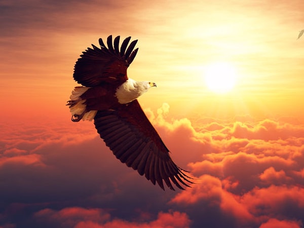 Загадочный Орел