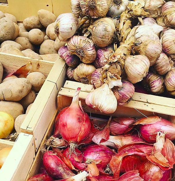 10. Для хранения чеснока используйте... женские колготки