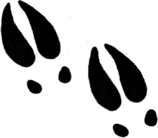 9. Ваш вердикт?