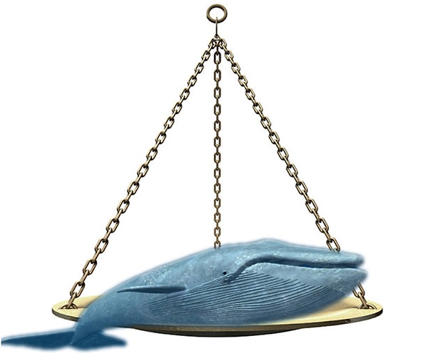 3. Знаете ли вы, каков средний вес голубого кита?