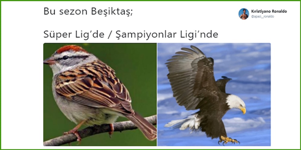 Kartal Ligde Yaralı! Malatya - Beşiktaş Maçının Ardından Yaşananlar ve Tepkiler