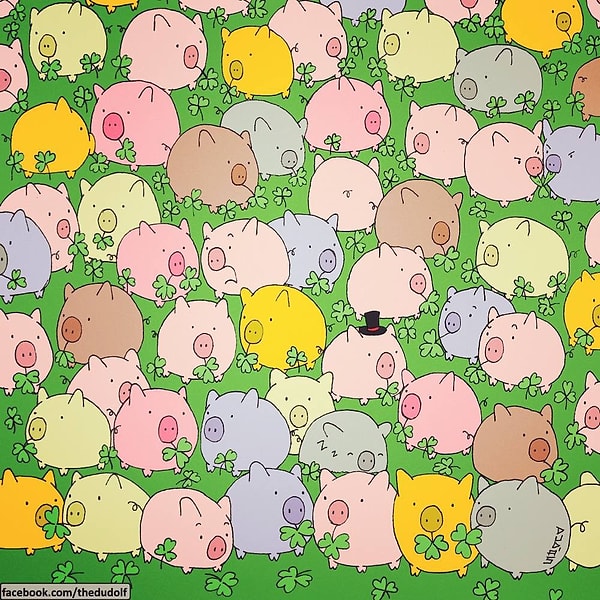 6. Смогли найти четырехлистный клевер?