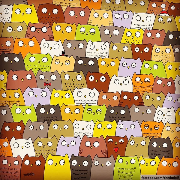 7. Получилось ли у вас найти кота?