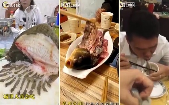 Canlı Deniz Ürünleri Servis Eden Restoranlardan Rahatsız Edici Görüntüler!