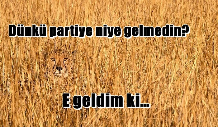 Ortamların Görünmez İnsanı Olanların Çok İyi Anlayacağı 16 Durum