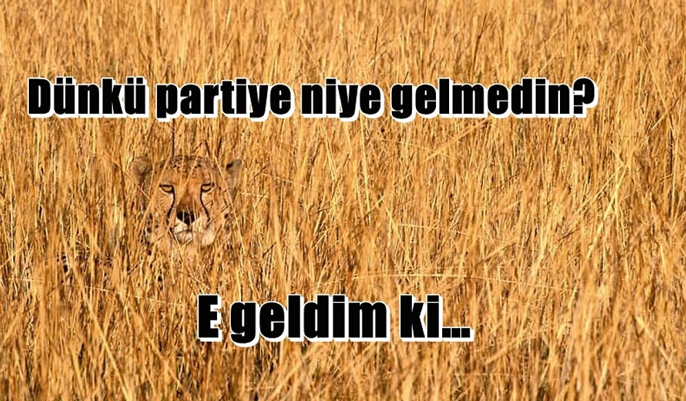 Ortamların Görünmez İnsanı Olanların Çok İyi Anlayacağı 16 Durum