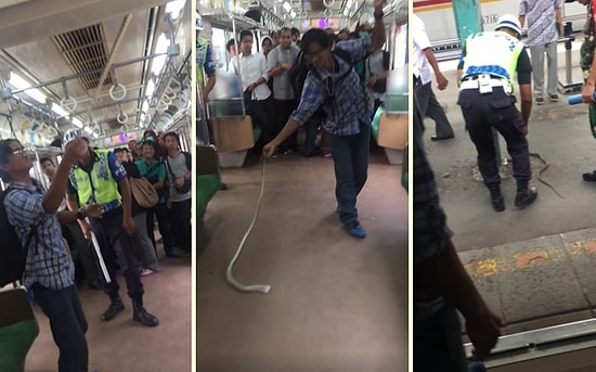 İnsanlar Her Zaman Vahşi Olmak Zorunda mı? Metroya Giren Yılanı Beklenmedik Bir Şekilde Etkisiz Hale Getiren Adam
