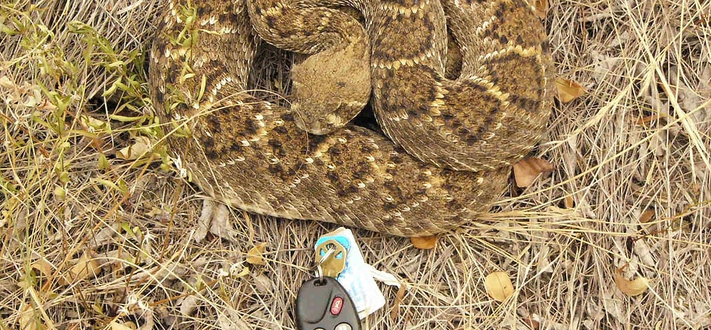 16 криповых фотографий с планеты под названием "Да ну нафиг!"